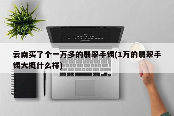 云南买了个一万多的翡翠手镯(1万的翡翠手镯大概什么样)