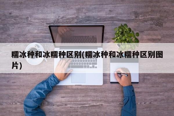 糯冰种和冰糯种区别(糯冰种和冰糯种区别图片)