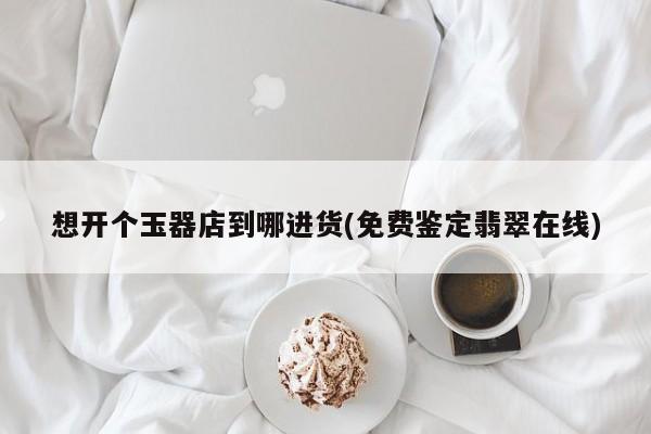 想开个玉器店到哪进货(免费鉴定翡翠在线)