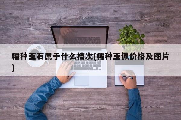 糯种玉石属于什么档次(糯种玉佩价格及图片)