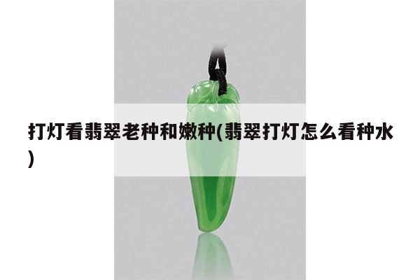 打灯看翡翠老种和嫩种(翡翠打灯怎么看种水)