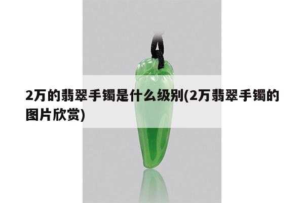 2万的翡翠手镯是什么级别(2万翡翠手镯的图片欣赏)