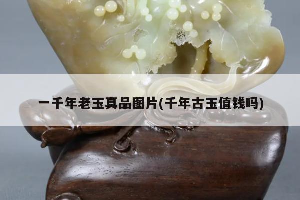 一千年老玉真品图片(千年古玉值钱吗)