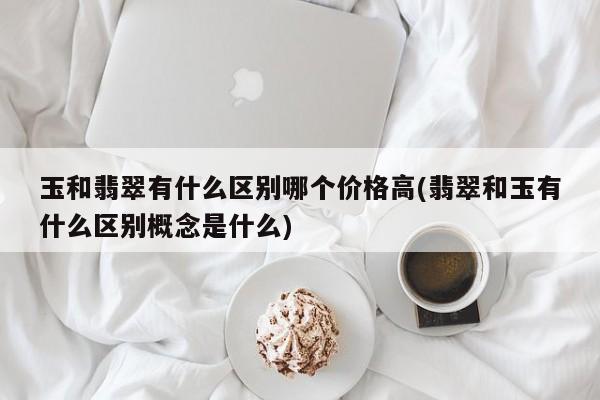 玉和翡翠有什么区别哪个价格高(翡翠和玉有什么区别概念是什么)