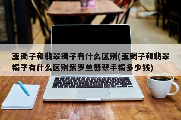 玉镯子和翡翠镯子有什么区别(玉镯子和翡翠镯子有什么区别紫罗兰翡翠手镯多少钱)