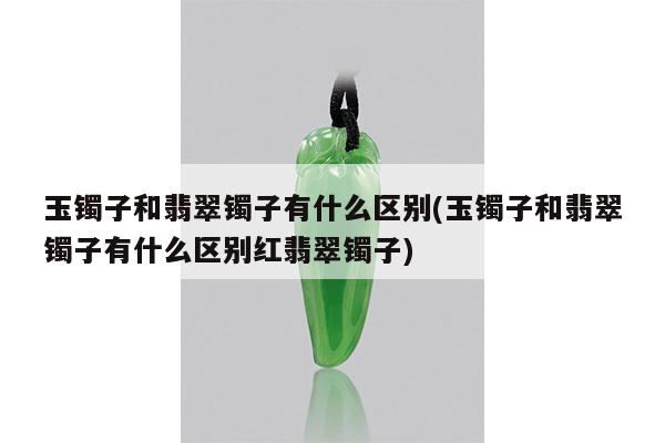 玉镯子和翡翠镯子有什么区别(玉镯子和翡翠镯子有什么区别红翡翠镯子)