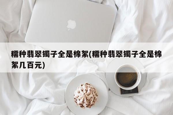 糯种翡翠镯子全是棉絮(糯种翡翠镯子全是棉絮几百元)