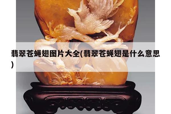 翡翠苍蝇翅图片大全(翡翠苍蝇翅是什么意思)
