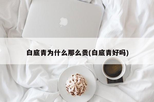 白底青为什么那么贵(白底青好吗)
