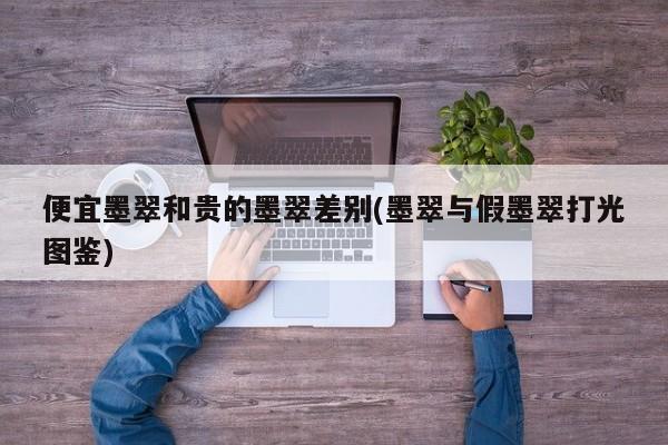 便宜墨翠和贵的墨翠差别(墨翠与假墨翠打光图鉴)