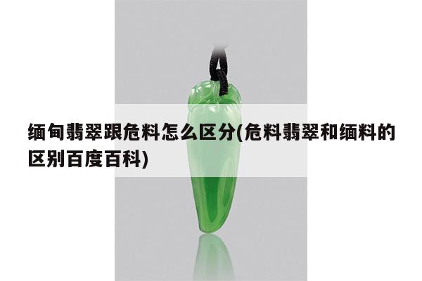 缅甸翡翠跟危料怎么区分(危料翡翠和缅料的区别百度百科)