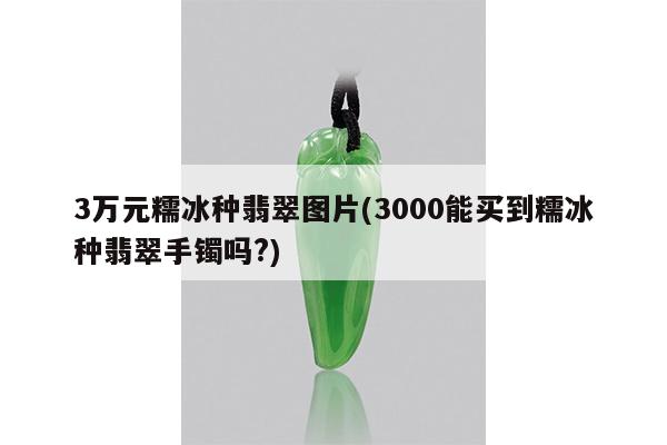3万元糯冰种翡翠图片(3000能买到糯冰种翡翠手镯吗?)
