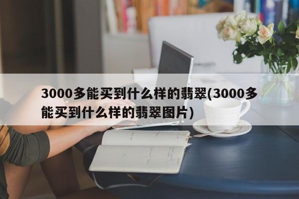 3000多能买到什么样的翡翠(3000多能买到什么样的翡翠图片)
