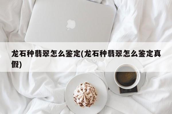 龙石种翡翠怎么鉴定(龙石种翡翠怎么鉴定真假)
