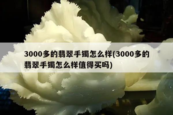 3000多的翡翠手镯怎么样(3000多的翡翠手镯怎么样值得买吗)