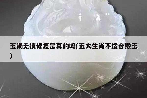 玉镯无痕修复是真的吗(五大生肖不适合戴玉)