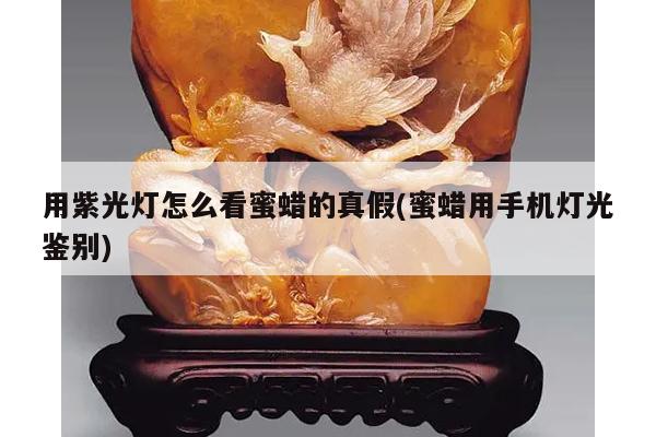 用紫光灯怎么看蜜蜡的真假(蜜蜡用手机灯光鉴别)