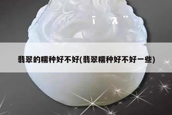翡翠的糯种好不好(翡翠糯种好不好一些)