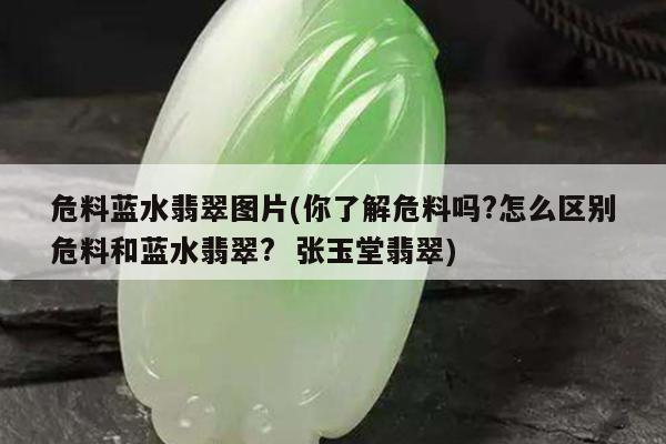 危料蓝水翡翠图片(你了解危料吗?怎么区别危料和蓝水翡翠? 张玉堂翡翠)