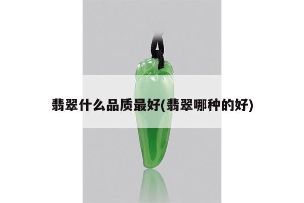 翡翠什么品质最好(翡翠哪种的好)