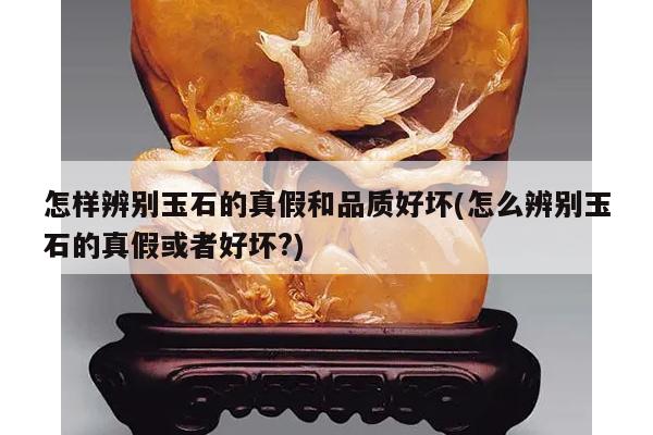 怎样辨别玉石的真假和品质好坏(怎么辨别玉石的真假或者好坏?)