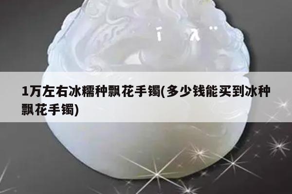 1万左右冰糯种飘花手镯(多少钱能买到冰种飘花手镯)