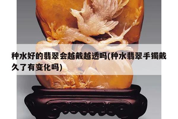 种水好的翡翠会越戴越透吗(种水翡翠手镯戴久了有变化吗)