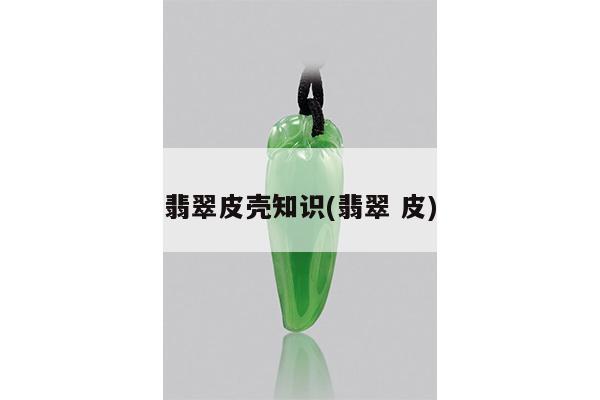 翡翠皮壳知识(翡翠 皮)