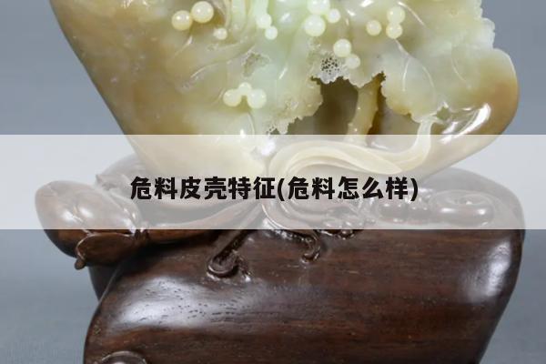 危料皮壳特征(危料怎么样)