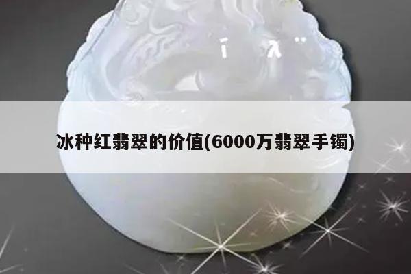 冰种红翡翠的价值(6000万翡翠手镯)