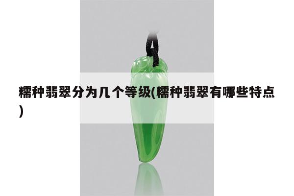 糯种翡翠分为几个等级(糯种翡翠有哪些特点)
