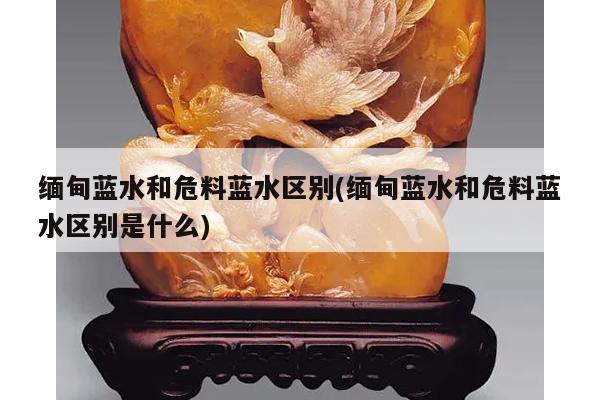 缅甸蓝水和危料蓝水区别(缅甸蓝水和危料蓝水区别是什么)