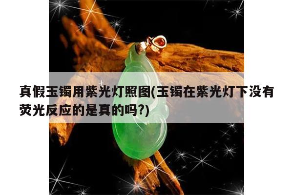 真假玉镯用紫光灯照图(玉镯在紫光灯下没有荧光反应的是真的吗?)