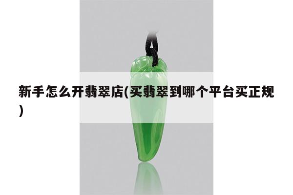 新手怎么开翡翠店(买翡翠到哪个平台买正规)