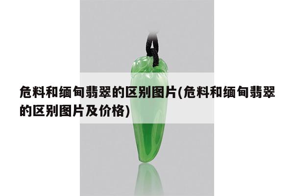 危料和缅甸翡翠的区别图片(危料和缅甸翡翠的区别图片及价格)