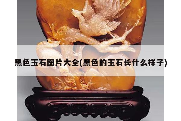 黑色玉石图片大全(黑色的玉石长什么样子)