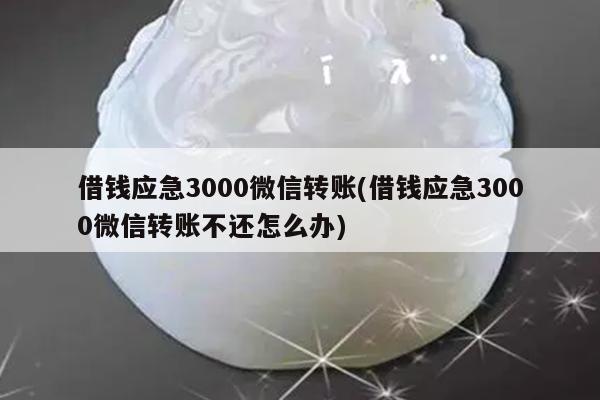 借钱应急3000微信转账(借钱应急3000微信转账不还怎么办)