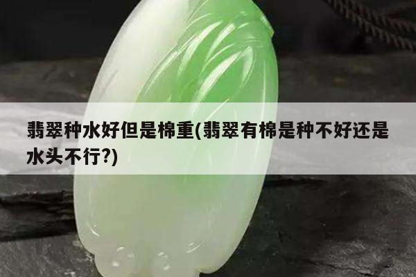 翡翠种水好但是棉重(翡翠有棉是种不好还是水头不行?)