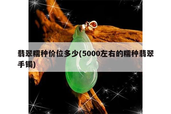 翡翠糯种价位多少(5000左右的糯种翡翠手镯)