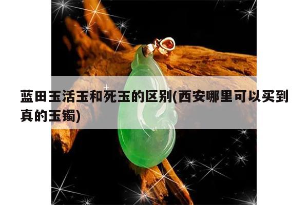 蓝田玉活玉和死玉的区别(西安哪里可以买到真的玉镯)