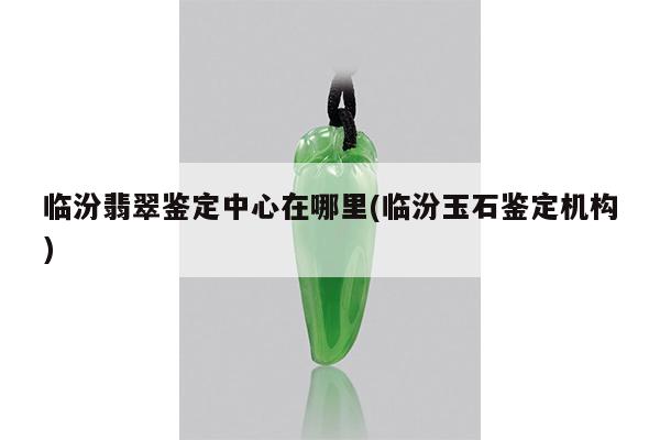 临汾翡翠鉴定中心在哪里(临汾玉石鉴定机构)