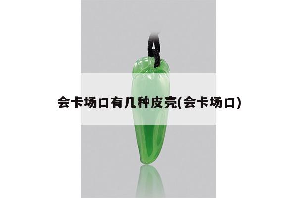 会卡场口有几种皮壳(会卡场口)