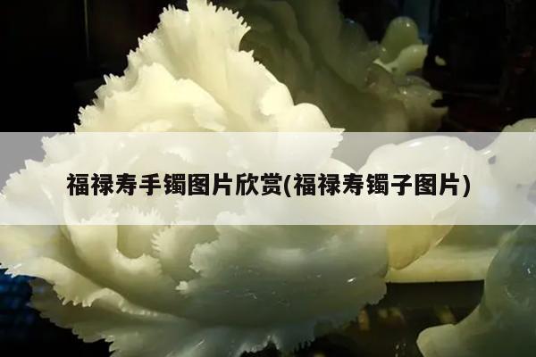 福禄寿手镯图片欣赏(福禄寿镯子图片)
