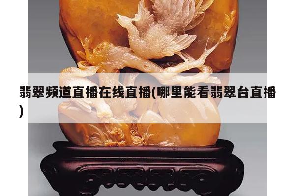 翡翠频道直播在线直播(哪里能看翡翠台直播)