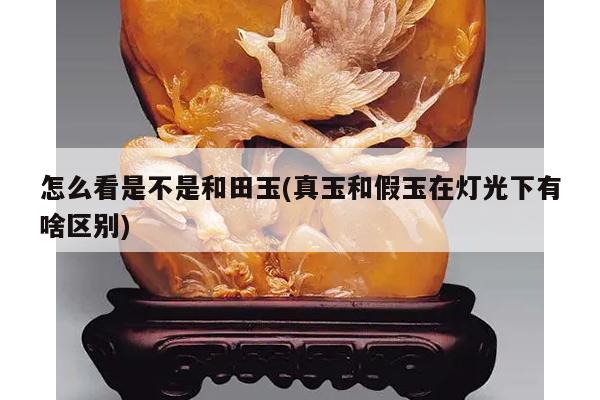 怎么看是不是和田玉(真玉和假玉在灯光下有啥区别)