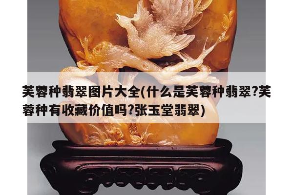 芙蓉种翡翠图片大全(什么是芙蓉种翡翠?芙蓉种有收藏价值吗?张玉堂翡翠)