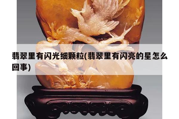 翡翠里有闪光细颗粒(翡翠里有闪亮的星怎么回事)