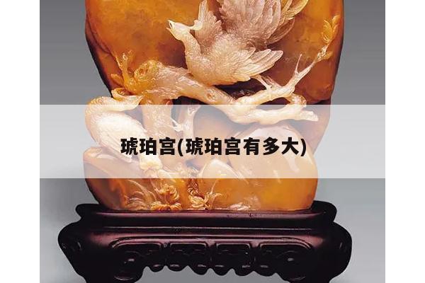 琥珀宫(琥珀宫有多大)