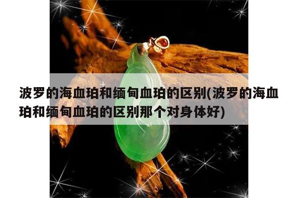 波罗的海血珀和缅甸血珀的区别(波罗的海血珀和缅甸血珀的区别那个对身体好)