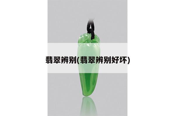 翡翠辨别(翡翠辨别好坏)